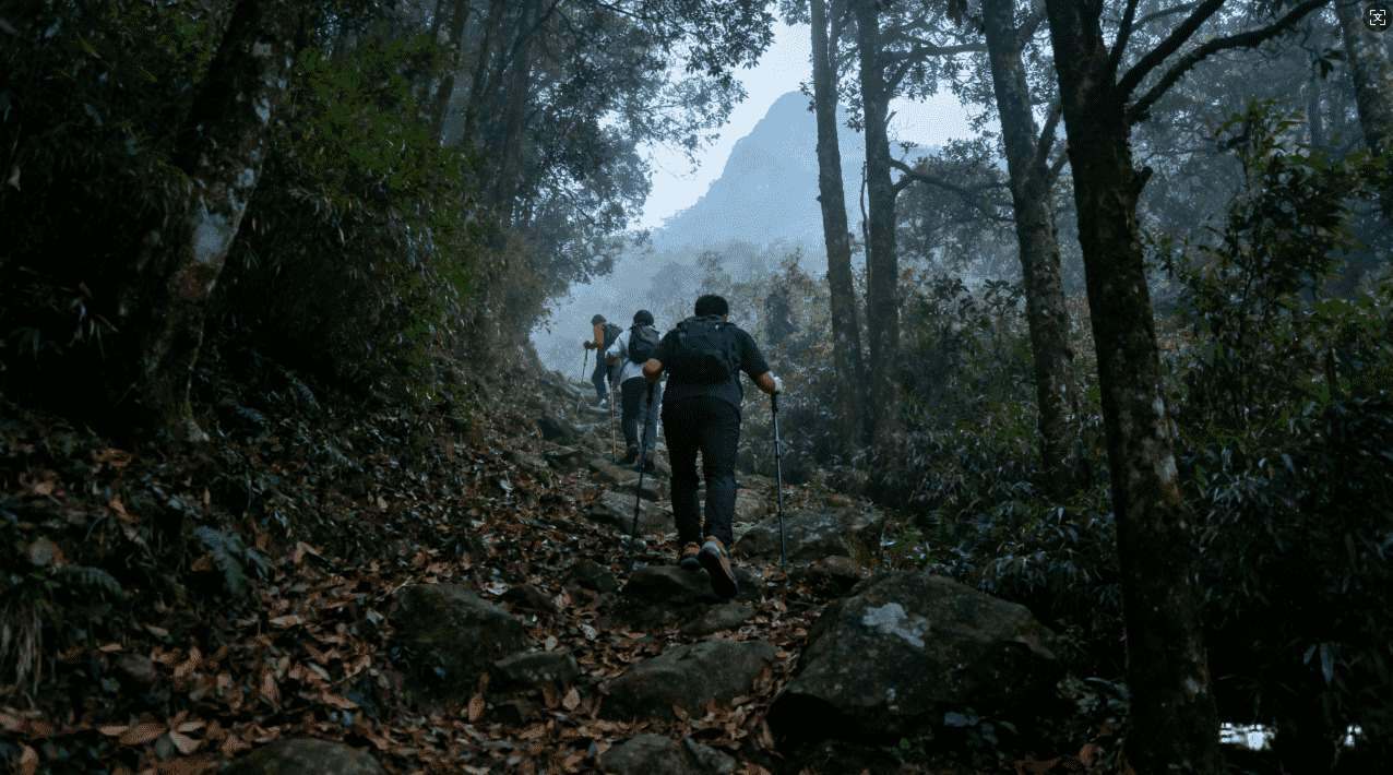 白鲸加速器类似游戏合集及特色介绍